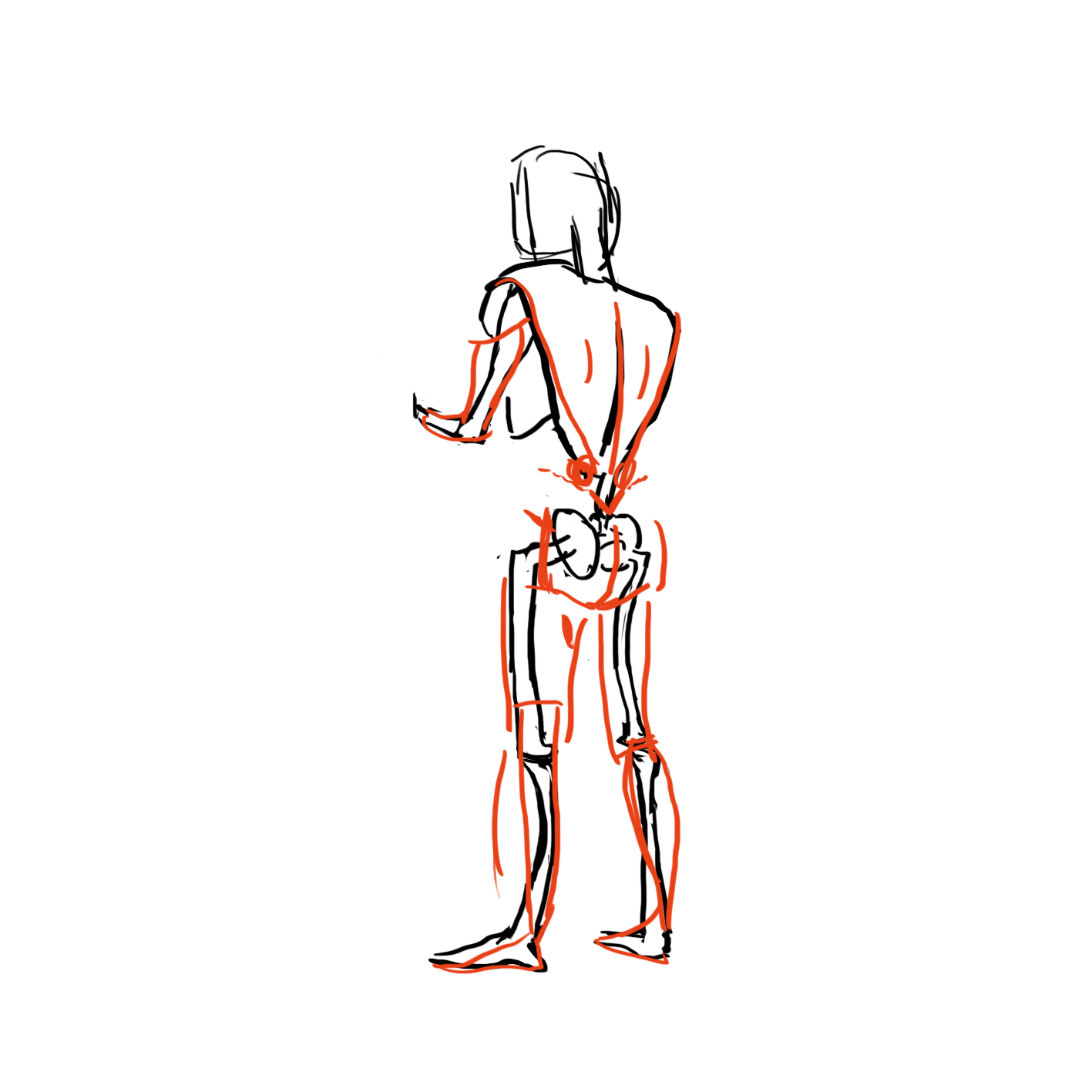 body-skeleton-4